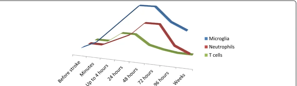 Figure 1 A schematic time-course of the microglial cells, neutrophils and T lymphocytes after ischemic stroke