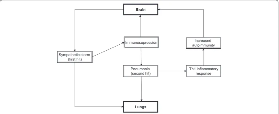 Figure 2 Vicious circle of brain-lung inflammation during ischemic stroke.