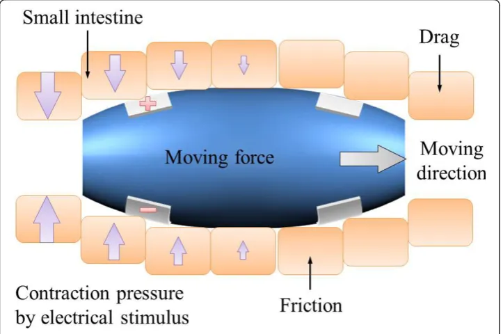 Figure 2 Major forces for locomotion of the capsule.