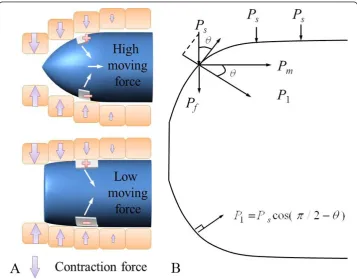 Figure 5 Capsule shape and moving speed. (a) Illustration of faster velocity of streamlined capsulecompared to cylindrical capsule