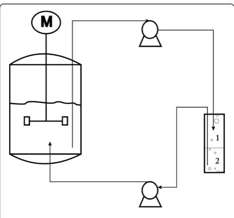 Table 6 Bacterial strains and plasmids used in this study
