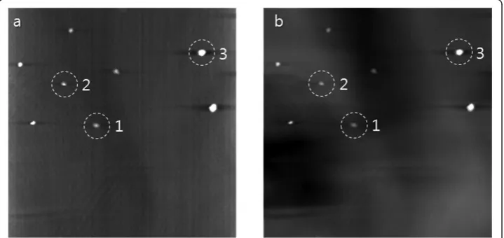 Figure 7 The 3D CT images of the breast-mimicking phantom. (a) One example image in the coronalview