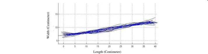 Figure 3 The spinal alignment graph. The alignment graph of spinal midline of volunteers aftermatching the curves in-between vertebra L5 and vertebra C7 on the firm surface.