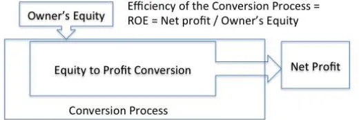 Figure 1:  Owners’ Equity as Input into Conversion Process which Produces Net Profit 