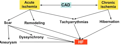 Figure 1 Types of heart failure.