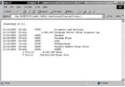 Figure 1: Browser Address Bar Attack 