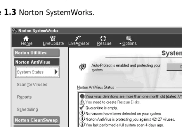 Figure 1.3 Norton SystemWorks.