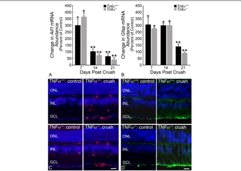 Figure 5 TNFα is not required for glial activation as a function of Aif1 or Gfap expression