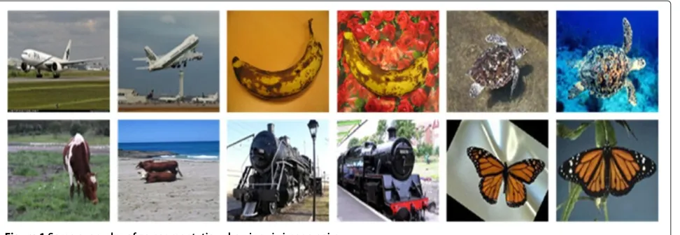 Figure 1 Some examples of co-segmentation showing six image pairs.