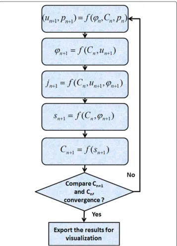 Figure 2 Steps of the iteration solution of the model reviewed in the text. The first step solved theStokes equations, using the initial conditions (C0, φ0) and boundary conditions (Cαo, φo, po), to calculate thefluid velocity (un+1) and pressure fields (p