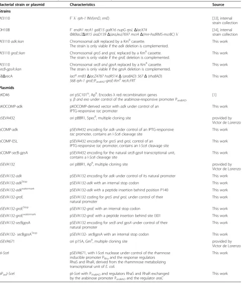 Table 1 Bacterial strains and plasmids used in this study