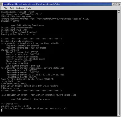 Figure 2 – Snort Pre-Run Screen 