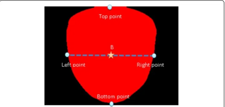 Figure 4 The star marks the center of the tongue image.