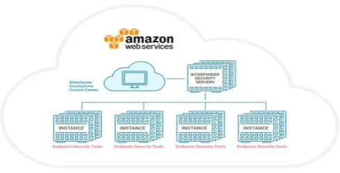 Fig 1. Framework of the Security as a Service in Cloud Computing Environment 