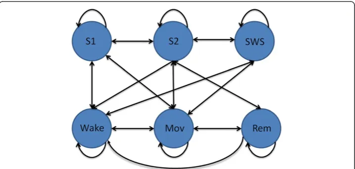 Figure 2 Allowable sleep stage transitions in healthy subjects.