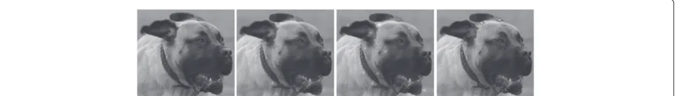 Figure 8 Average processing time for a single image vs removal rate on the UCID database.