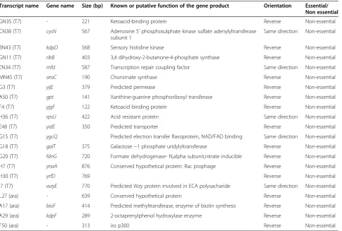Table 1 List of transcripts whose blockage leads to growth stoppage