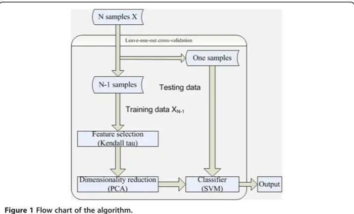 Figure 1 Flow chart of the algorithm.