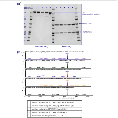Table 4 Kinetic binding constants of P. pastoris producedanti-HER2