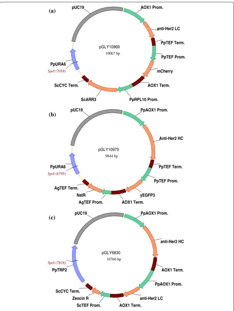 Figure 1 (See legend on next page.)