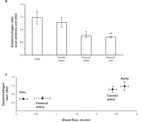 Figure 3 B) Elastin:collagen ratio. C) Blood flow in relation to elastin:collagen ratio