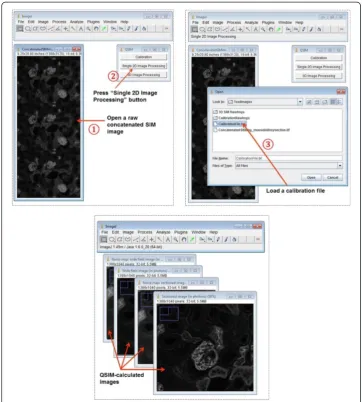 Figure 3 Screenshots of operating QSIM’s “Single 2D Image Processing” module.