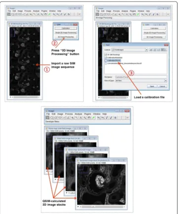 Figure 4 Screenshots of operating QSIM’s “3D Image Processing” module.