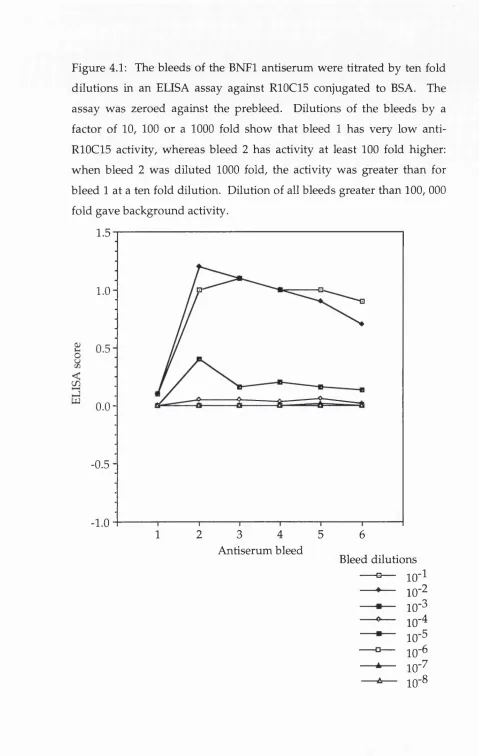 Figure 4.1: The bleeds of the BNFl antiserum were titrated by ten fold 