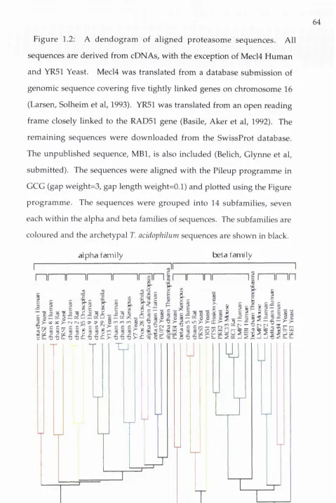 Figure 1.2: 