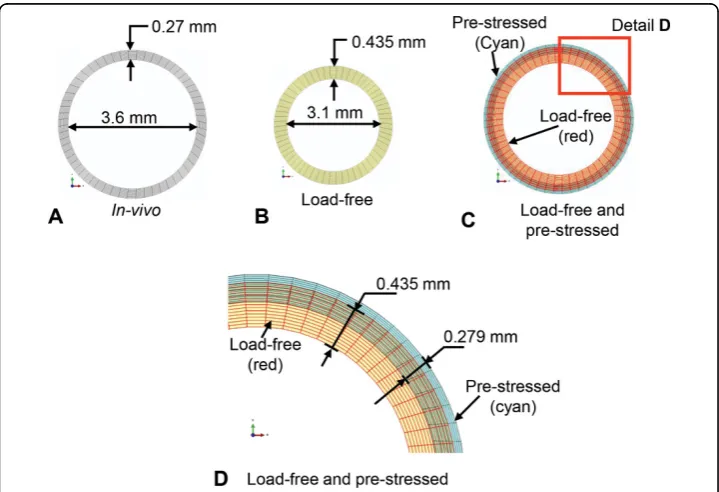 Figure 6 Inverse algorithm results. Results from the inverse algorithm to compute the load-free and thepre-stressed geometry for the idealized, straight, uniform diameter dog femoral artery model