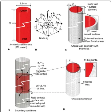 Figure 1 Application of the inverse algorithm to a straight arterytriangles for idealized geometry of dog femoral artery (Sinha-Roy et al., 2008)