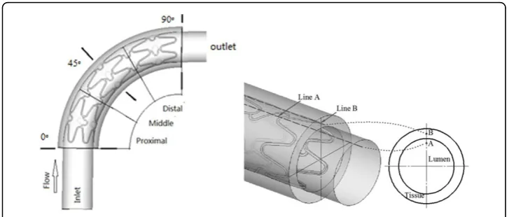 Figure 2 Reference location (a)0°,45°,90° cross-sections (b) Reference Line A and Line B.