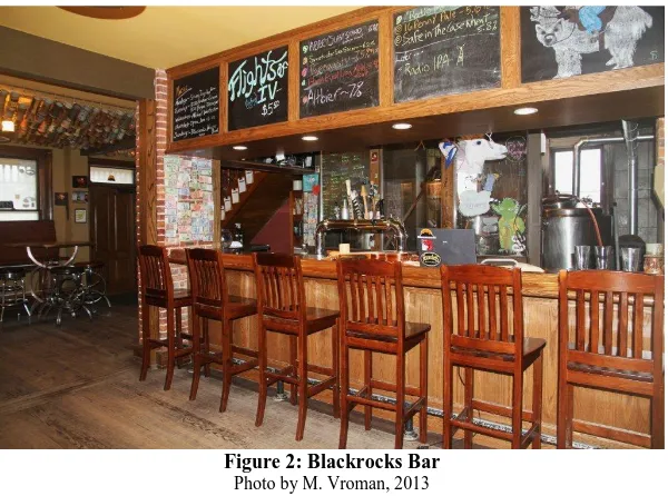 Figure 2: Blackrocks Bar Photo by M. Vroman, 2013 