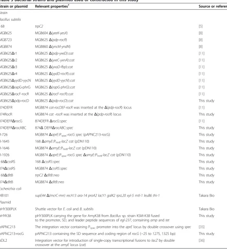 Table 3 Bacterial strains and plasmids used or constructed in this study