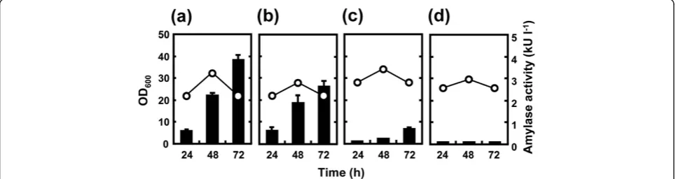 Figure 1 AmyK38 production by multiple-deletion strains ofharboring pHYK38 were cultured in 2xL-Mal medium with shaking at 30°C