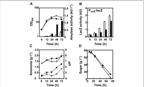 Figure 4 Effect of rocG expression on AmyK38 production, secretion stress responses, and external pH