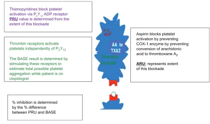 Figure 1 Understanding platelet function testing.Abbreviations:    AA, arachidonic acid;  PRU, P2Y12 reaction units;   ARU, aspirin reaction units;  TXA2, thromboxane A2.
