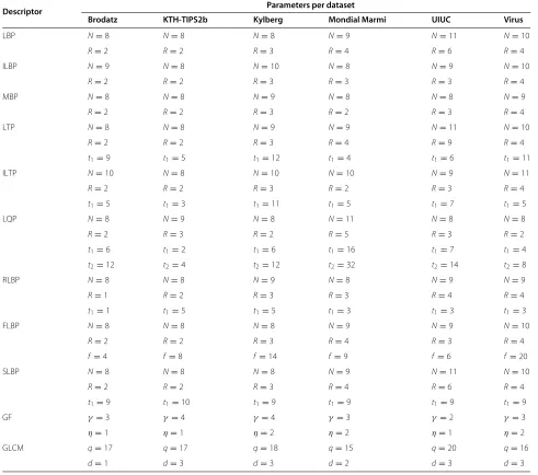 Table 4 Parameter settings for each descriptor and dataset after applied optimization scheme