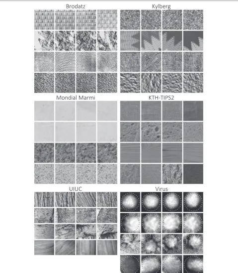 Figure 1 Texture examples. For each dataset four texture samples from four classes are shown