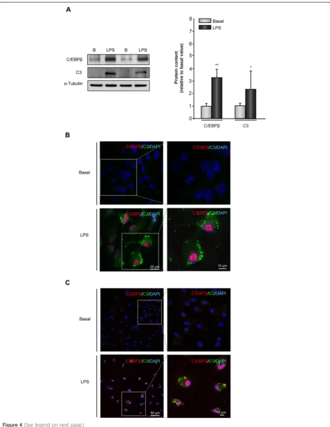 Figure 4 (See legend on next page.)