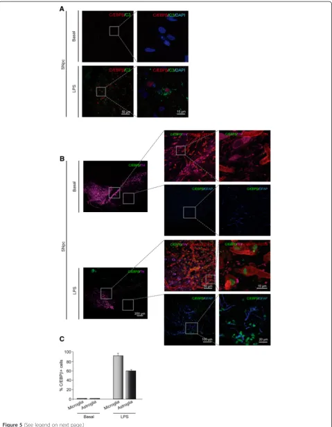 Figure 5 (See legend on next page.)