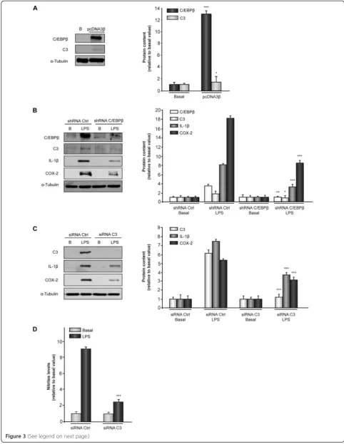 Figure 3 (See legend on next page.)