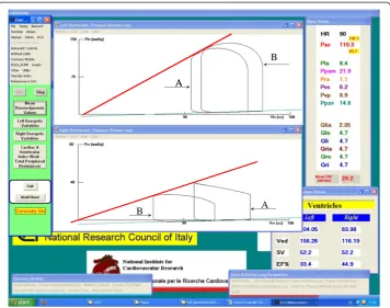 Figure 7 Possible screen output produced by student during the training course using theinteractive CARDIOSIM© software