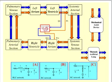 Figure 2 Overall modular configuration of the software simulator. Each block of the circulatorynetwork, enclose “Mechanical Assist Device” and “Thoracic Artificial Lung” blocks, can be implemented as acombinations of “n” different sub-blocks