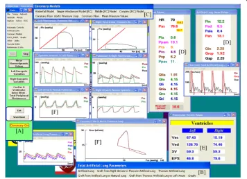 Figure 5 Interface windows presented to the students during some phases of an exercise whichwas held during the training course