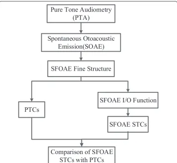 Figure 1 Flowchart of the experimental procedure. A flowchart of the experimental procedure.