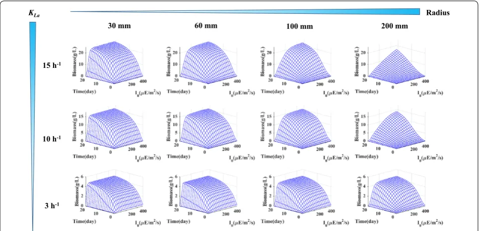 Fig. 3 Test of biomass growth performance sensitivity to the mass transfer rate (geometry (KLa in h−1), surface light intensity (I0 in µE/m2/s), and the bioreactor R in mm)