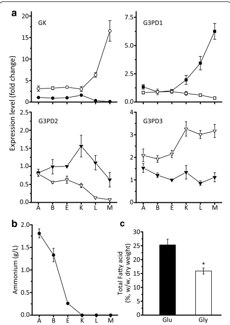 Fig. 2 a Expression levels of GK and G3PDs in M. alpina growing with glucose or glycerol as carbon source