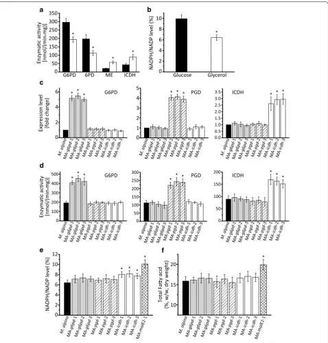 Fig. 5 Comparison of the enzymatic activity (a) and NADPH level (b) between M. alpina cultures growing in the presence of glucose (black bars) and glycerol (white bars)