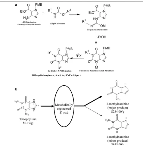 Fig. 1 Methylxanthine production schemes. a Example of generalized synthetic methods adapted from [30]